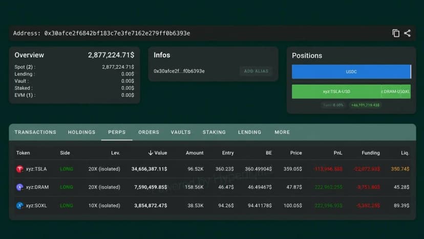 Hyperliquid Whale Down $9 Million This Week Flips to a 20x Tesla Bet
