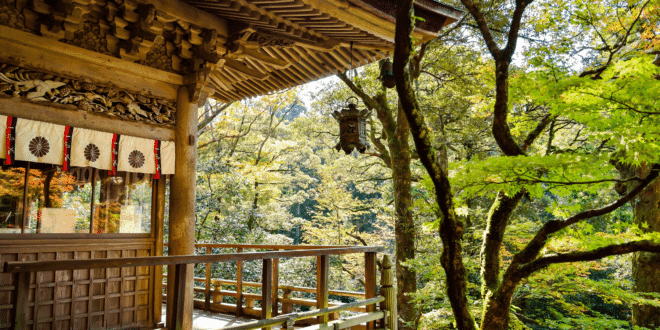 Giappone scaricherà 500 miliardi di dollari in titoli: CROLLO per Bitcoin, crypto e azioni? - Criptovaluta.it®