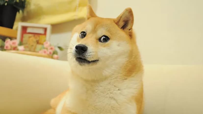DogeOS launches testnet to bring EVM smart contracts to Dogecoin