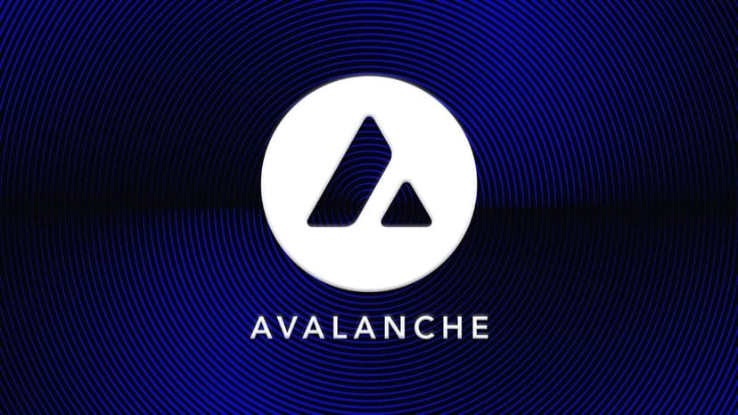 Avalanche's Nahas: Token prices are down, but 'I've never seen more opportunities' in crypto